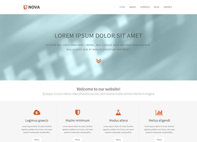 攻击网站服务器